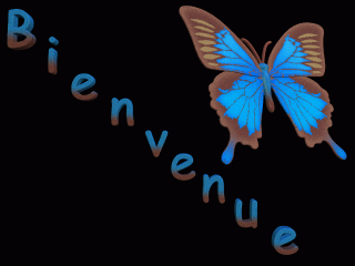 bienvenue